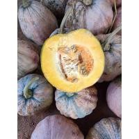 ราคา เมล็ดฟักทองยักษ์จากดอย 50 เมล็ด 28บาท (23653885119)