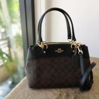 ราคา MINI BROOKE CARRYALL (COACH F26139) (1766542529)