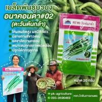 ราคา เมล็ดพันธุ์บวบงู อนาคอนดา #02 ขนาด 20 กรัม (6431294911)