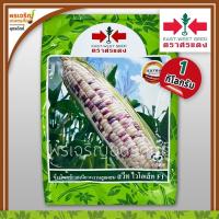 ราคา เมล็ดพันธุ์ ข้าวโพดข้าวเหนียวหวาน สวีทไวโอเล็ท F1 (1 กิโลกรัม) เมล็ดข้าวโพดศรแดง เมล็ดพันธุ์ผักสวนครัว ตราศรแดง (8317108004)