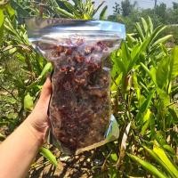 ราคา มะขามเปียก แกะเมล็ด มะขามเปียกแกะเม็ด มะขามเปียกไร้เม็ด (28736055229)