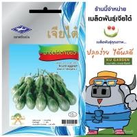 ราคา อินทรีย์็ด ใหม่็ด CHIATAI ใหม่ซอง เจียไต๋ มะเขือไข่เต่าเขียว O096 ประมาณ 200 ใหม่็ด มะเขือ ใหม่ใหม่ มะเขือ (23833611895)