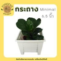 ราคา กระถางต้นไม้เหลี่ยม สีขาว Minimal 6.5 นิ้ว กระถาง กระถางสีขาว กระถางต้นไม้สีขาว กระถางพลาสติก กระถางต้นไม้ Modern (8586206193)