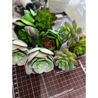 ราคา พร้อมส่งเร็ว ต้นแคสตัส ต้นไม้ปลอมแต่งบ้าน แต่งสวน ต้นไม้ปลอมไม่มีกระถาง พืชอวบน้ำปลอม แคคตัส ต้นไม้ประดิษฐ์ (29104972201)