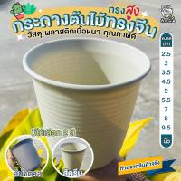 ราคา กระถางทรงสูงกระถางทรงจีนพลาสติกเนื้อหนาคุณภาพดีราคาถูกขนาด2.5นิ้ว3นิ้ว3.5นิ้ว4นิ้ว5นิ้ว (16730949527)