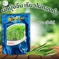 ราคา เมล็ดพันธุ์ผักบุ้งจีน เรียวไผ่ทองคำ ตราเจียไต๋ ขนาด 1 กิโลกรัม (26768911323)