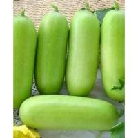 ราคา เมล็ดพันธุ์ฟักหอม70เมล็ด (6393138241)