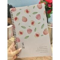 ราคา สมุดเล่มใหญ่ ลายเส้น (19849189050)