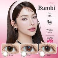ราคา ขนาดกลาง | Kitty Kawaii - Bambi (Brown/Gray/Hazel) คอนแทคเลนส์ ค่าอมน้ำ 55% (26521072032)