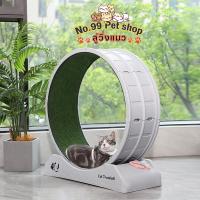 ราคา No.99ลู่วิ่งแมว วงล้อแมววิ่ง ล้อวิ่งแมว ออกกำลังกายแมว ลู่วิ่งแมวออกกำลังกาย ลู่วิ่งแมวพลาสติก ลู่วิ่งสุนัข เงียบ (17898307601)