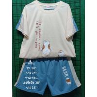 ราคา ชุดเซ็ทเสื้อ+กางเกงขาสั้น (7101057731)
