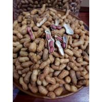 ราคา ถั่วคั่วทราย ถั่วคั่วโบราณถั่วคัดคุณภาพ (21776156775)