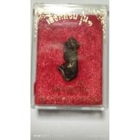 ราคา เสือหมอบรุ่น1รุ่นแรกและรุ่นเดียวของหลวงพ่อเปิ่นวัดบางพระหายากแล้วพร้อมกล่องเดิม (27758338023)