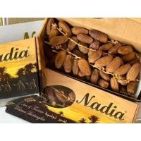 ราคา อินทผาลัม อบแห้ง แบรนด์ Nadia Deglet Nour (ขนาดกล่องละ 500 กรัม) ขายส่ง ราคาถูก (7117420453)