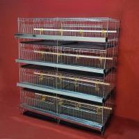 ราคา 4ชั้นอัตโนมัติสัตว์เลี้ยงไก่นกกระทาดื่มถ้วยเครื่องดื่มอัตโนมัติเครื่องมือไก่นกนกกระทากรงเจี๊ยบกรง (26621023661)