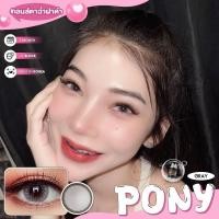 ราคา คอนแทคเลนส์ Wink ลาย Pony (Big)ราคาถูก แถมตลับฟรี (24340947562)