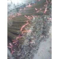 ราคา กระถางกล้วยไม้มือสอง+ลวดแขวน (19941906040)