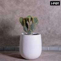ราคา I-POT กระถางหินขัดไฟเบอร์ซีเมนต์ดีไซน์โมเดิร์นทรงแพร์ W57 x L65 x H70cm (27656398008)