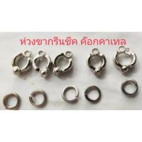 ราคา ห่วงขาชนิดเปิดสำหรับนกแก้วกรีนชีค ค๊อกคาเทล (4639336621)