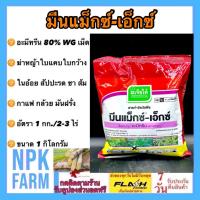 ราคา เจียไต๋ มีนแม็กซ์ เอ็กซ์ ขนาด 1 กิโลกรัม อะมีทรีน 80%wg เม็ด อามีทรีน เจียไต๋ กำจัดหญ้า ใบแคบใบกว้าง (26027155628)
