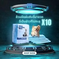ราคา แผ่นรองฉี่หมา​ Dog​ pad แผ่นซับฉี่ แผ่นรองฉี่สุนัข​ ฝึกสุนัข (26355570627)