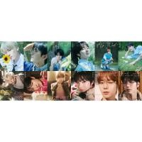 ราคา DICON VOLUME N°29 NCT WISH : MY YOUTH, MY WISH / TO WISH, TO WAIT (40707272568)