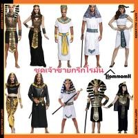 ราคา ชุดเจ้าชายกรีกโรมัน ชุดกรีกโรมัน นักรบโรมัน ชุดกรีกผู้ใหญ่ ชุดโรมัน ชุดเจ้าหญิง เด็กผู้ใหญ่ ชุดคริสต์มาส หลังม้ากรีกโบราณ (41256405673)