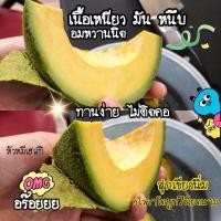 ราคา อโวคาโดพันธุ์บูท7เวียดนาม กก.ละ100 ส่งเครมฟรีตามหลักฐาน #อโวคาโด (10761234666)
