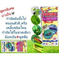 ราคา ยาฆ่าแมลง ยาฆ่าหนอน ยากำจัดหนอน ยาฆ่าเพลี้ย แลมบ์ดา ไซฮาโลทริน สูตรพิเศษน้ำสีฟ้า 1 ลิตรยาน๊อคสูตรเย็น ยากำจัดเพลี้ย มด (6349821436)