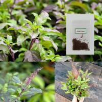 ราคา เมล็ดการแดง 200 เมล็ด (ซื้อ10การ1 งอกการ)/งอก ปลูก/งอก เมล็ดเมล็ด/งอก ปลูก/งอก การ การ/งอก การ (22739382748)