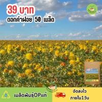 ราคา เมล็ดพันธุ์ดอกคำฝอย 50 เมล็ด (25768719963)