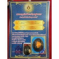 ราคา เบี้ยแก้หลวงปู่บุญวัดกลางบางแก้วข้างในมีปรอทพร้อมเกียรติบัตรรับรองพระแท้จังหวัดนครปฐม (29233686576)