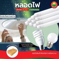 ราคา หลอด ไฟ หลอดปิงปอง ไฟLED PHILIPS ขายเป็นหลอด 25W LED BULB หลอดไส้ปิงปอง Daylight White หลอดประหยัดไฟ มิตสห (16967249079)