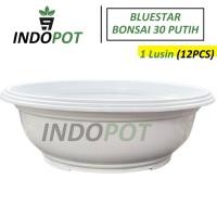 ราคา (12 ชิ้น) กระถางบอนไซขนาด 30 บลูสตาร์ สีขาวขายส่ง (27488275978)