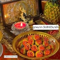 ราคา ลูกหมากพระพิฆเนศ จากวัดสิทธิวินายัก ที่อินเดีย (26513462791)