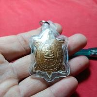 ราคา เต่าปลดหนี้เนื้อทองแดงหลวงปู่หลิววัดไร่แตงทองจ.นครปฐม (26737269498)