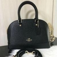 ราคา ส่งต่อ Coach โดมมินิ 10 นิ้ว ใช้เอง (29538479887)