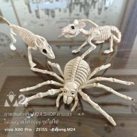 ราคา (1 ตัว) หุ่นโครงกระดูกสัตว์ แมงมุมปลอม กิ้งก่าปลอม หนูปลอม สัตว์ปลอม หุ่นผี ฮาโลวีน halloween m24 (23162024534)