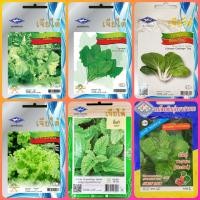 ราคา เมล็ดพันธุ์ผัก เจียไต๋ ผักซอง ตั้งโอ๋ ปวยเล้ง ฮ่องเต้ไทนี่ (ผักกาดขาวน้อย) ผักกาดหอม มิ้นท์ สาระแหน่ สะระแหน่ ยี่หร่า (3637933555)