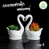 ราคา พร้อมส่งจากไทย กระถางเซรามิกหงษ์แพคคู่ ใส่กระบองเพชร กระถางต้นไม้ กระถางจิ๋ว กระถางไม้อวบน้ำ Cactus Succulent กระถางเล็ก (4063792702)
