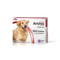 ราคา Antinol DOG 60 แคปซูล อาหารเสริมบำรุงข้อ ข้ออักเสบ 1 กล่องบรรจุ 60 เม็ด (42102461133)
