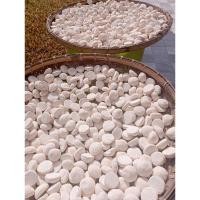 ราคา ลูกแป้งข้าวหมากสมุนไพร100%(ลูกคัด)(1ชุดมี20ลูก) ทำข้าวหมากและสาโทได้ (25654779191)