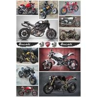 ราคา โปสเตอร์ รถ Ducati จักรยานยนต์ มอเตอร์ไซค์ รูป ภาพ ติดผนัง สวยๆ poster 34.5 x 23.5 นิ้ว (88 x 60 ซม.โดยประมาณ) (9853948036)