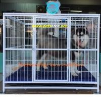 ราคา Q120 กรงสุนัขขนาดใหญ่ XL กรงเหล็กถอดประกอบได้,พื้นแสลท4แผ่น,กรงโกลเด้น,กรงไซบีเรียน,กรงสำหรับหมาใหญ่ (1879307233)