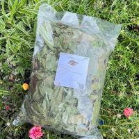 ราคา ใบขี้เหล็ก ใบขี้เหล็กอบแห้ง 100 กรัม สินค้าพร้อมส่ง ช่วยขับระดูขาว ช่วยระบายแก้ท้องผูก ลดอาการนอนไม่หลับ (20488170286)