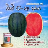 ราคา เมล็ดพันธุ์แตงโม กินรี C-29 ลูกใหญ่ ตราตะวันต้นกล้า ขนาด40กรัม เมล็ดแตงโม เมล็ดแตงโมกินรี เมล็ดพันธุ์ผัก เมล็ดผักสวนครัว (26408037308)