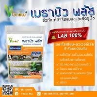 ราคา บิวเวอร์เรีย + เชื้อราเมธาไรเซียม แบบผง(500กรัม) ส่งฟรี (15212758687)