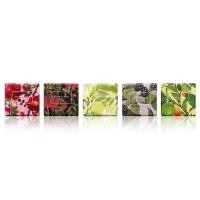 ราคา สบู่ก้อน JO MALONE LONDON soap 100g (8508539896)