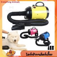 ราคา พร้อมส่ง ไดร์ป่าขน 2800W รุ่นใหม่ ไดร์ขนสุนัข ไดร์เป่าขนแมว เครื่องเป่าขน ไดร์ไล่น้ำ ไดร์ขนสุนัข ไดร์เป่าขนหมา (9814351132)