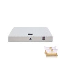 ราคา SB Design Square ที่นอน Dunlopillo รุ่น UTOPIA ขนาด 5 ฟุต พร้อมหมอนหนุน 2 ใบ (22886457803)